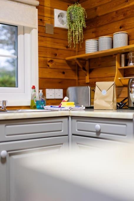 Rural Log Cabin In Snowdonia Near Coed Y Brenin By Seren Short Stays Ffestiniog Zewnętrze zdjęcie